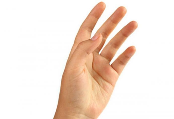 Nốt ruồi giữa các ngón tay có ý nghĩa gì đối với bạn? 314164101