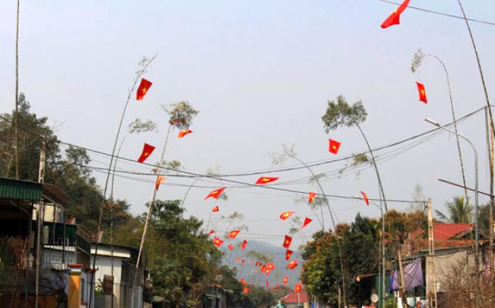 Cây cối đại diện cho ý nghĩa ngày Tết trong văn hóa Việt Nam 