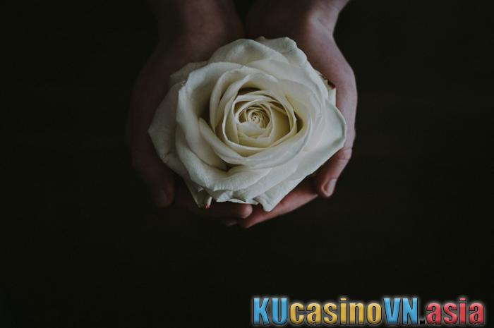 Ý nghĩa hoa hồng trắng đám tang