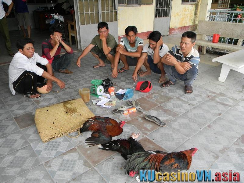 Bị bắt đỏ tại một trường chọi gà ở Tiền Giang.