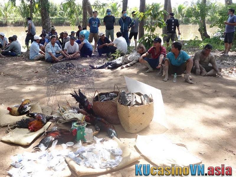 Đánh sập sới bạc chọi gà