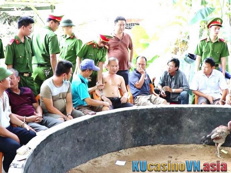 Chọi gà bắt hoài vẫn không dẹp hết được