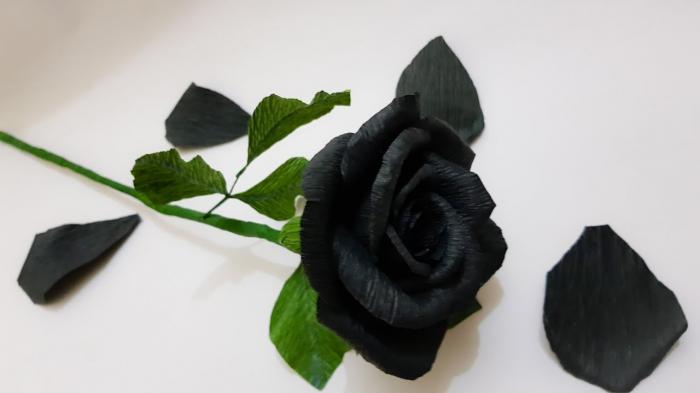 Ý nghĩa của bông hồng đen huyền thoại